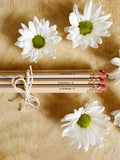 Bouquet of Pencils