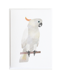 Bird Card Set