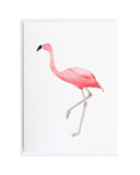 Bird Card Set