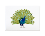 Bird Card Set