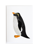 Bird Card Set