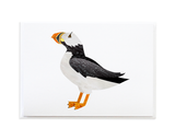 Bird Card Set